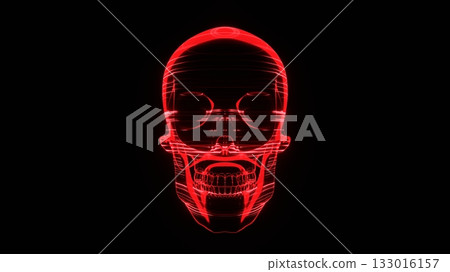 skull, the cranium, the skull 133016157