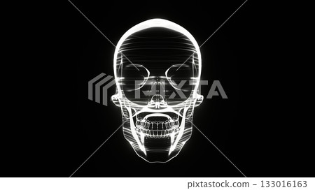 skull, the cranium, the skull 133016163