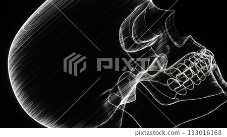 skull, the cranium, the skull 133016168