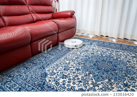 Household assistance robots, automatic cleaning robots Household assistance robots, automatic cleaning robots 133016420