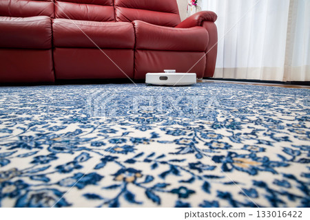 Household assistance robots, automatic cleaning robots 133016422