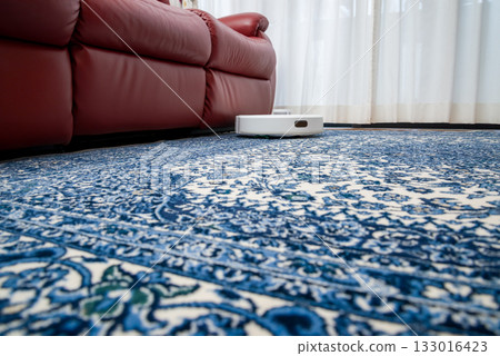 Household assistance robots, automatic cleaning robots Household assistance robots, automatic cleaning robots 133016423