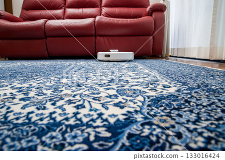 Household assistance robots, automatic cleaning robots 133016424