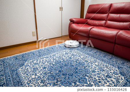 Household assistance robots, automatic cleaning robots Household assistance robots, automatic cleaning robots 133016426