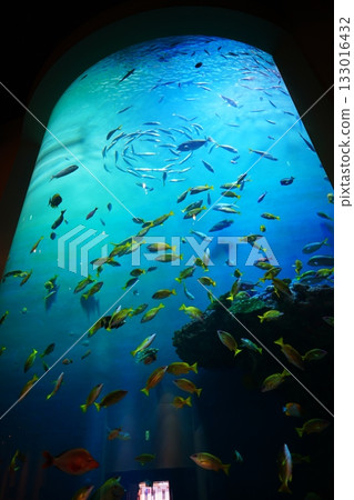 Noboribetsu Marine Park Nixe Crystal Tower Noboribetsu Marine Park Nixe Crystal Tower 133016432