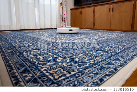 Household assistance robots, automatic cleaning robots 133016510