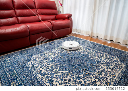 家用輔助機器人,自動清潔機器人 家用輔助機器人,自動清潔機器人 133016512