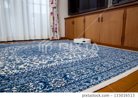 Household assistance robots, automatic cleaning robots Household assistance robots, automatic cleaning robots 133016513