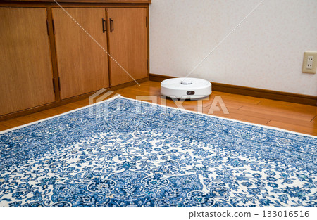 Household assistance robots, automatic cleaning robots Household assistance robots, automatic cleaning robots 133016516