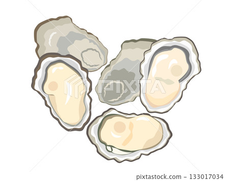 牡蠣主題插圖 133017034