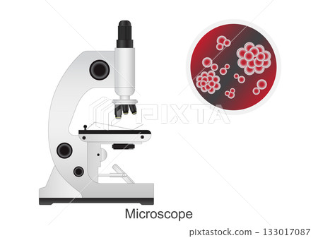 Microscope icon isolated on white background. 133017087