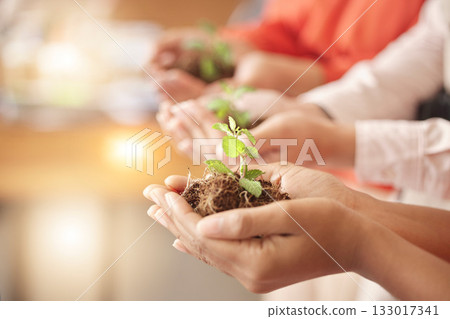 Teamwork, soil or hands with plant for sustainability, agriculture environment or natural growth top view. Future goals, group accountability or people with dirt helping green leaves development 133017341