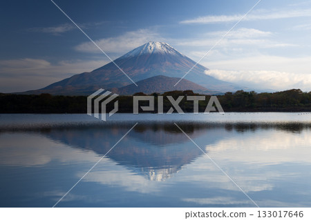 從Shoin湖看到的富士山 133017646