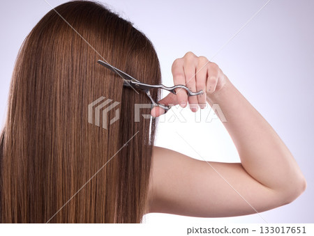 Woman, scissors and cut haircut on studio background for aesthetic change, DIY makeover and salon treatment. Female model cutting long hairstyle for beauty, hairdresser cosmetics and healthy shine 133017651