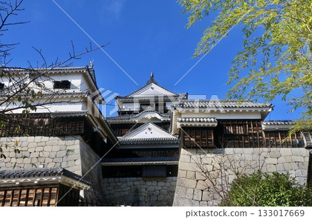 松山城、天守閣和城牆（愛媛郡松山市） 133017669