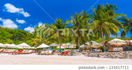 luxury tropical resort with sun loungers and umbrellas under palm trees on beach by sea in summer. Landscape panorama with a view of exotic ocean shore. Beach on a tropical island luxury tropical resort with sun loungers and umbrellas under palm trees on beach by sea in summer. Landscape panorama with a view of exotic ocean shore. Beach on a tropical island 133017711