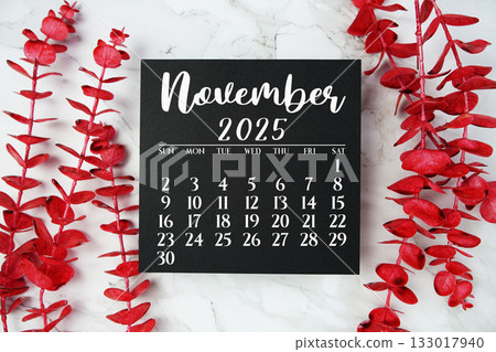 November 2025 annual monthly desk calendar for planning and management 133017940