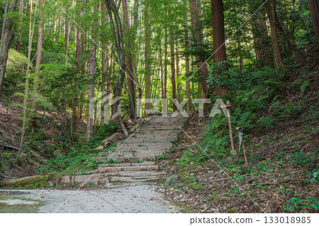 Kyoto Higashiyama Forest Scenery, Kyoto Loop Trail, Kyoto City Kyoto Higashiyama Forest Scenery, Kyoto Loop Trail, Kyoto City 133018985