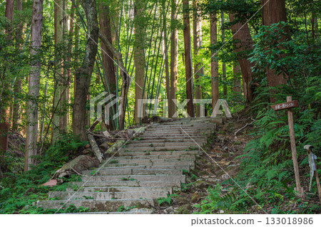 京都東山森林景色、京都環線步道、京都會區 133018986