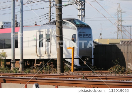 Narita Express Narita Express 133019063