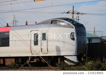 Narita Express Narita Express 133019065