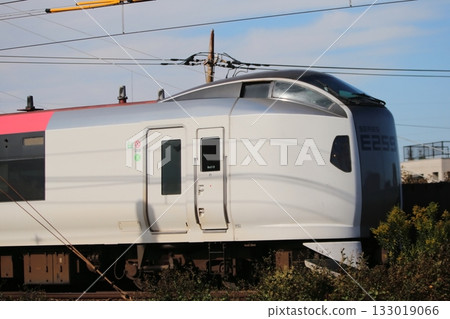 Narita Express Narita Express 133019066