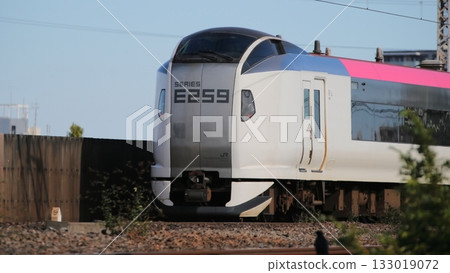 Narita Express 133019072