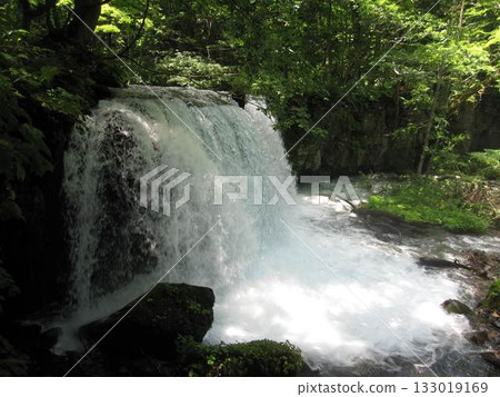 [Summer] Mountain stream 133019169