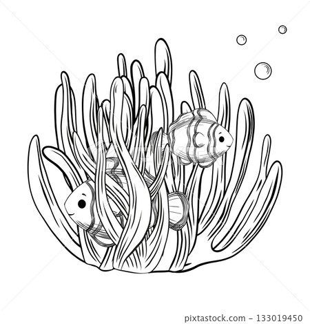 Clownfish in Sea Anemone Outline Illustration 133019450
