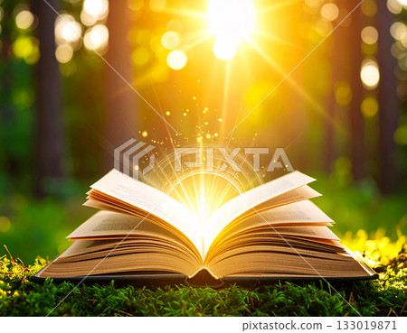 Open book, glowing pages floating in light, Inspired mind, self growth via awareness 133019871