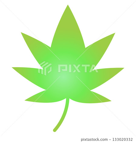 Green maple illustration, simple fresh green leaves Green maple illustration, simple fresh green leaves 133020332