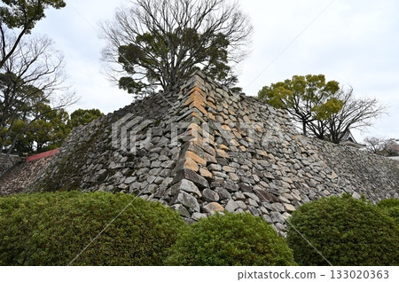 岡山城堡的石垣 133020363