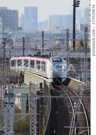 Narita Express Narita Express 133020616