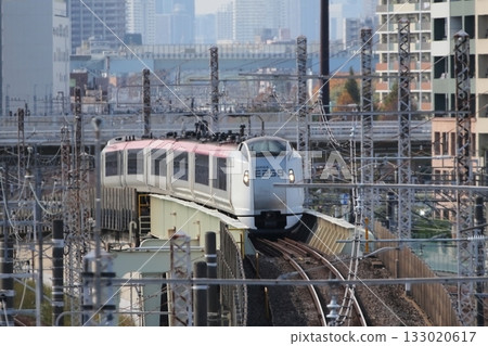 Narita Express 133020617