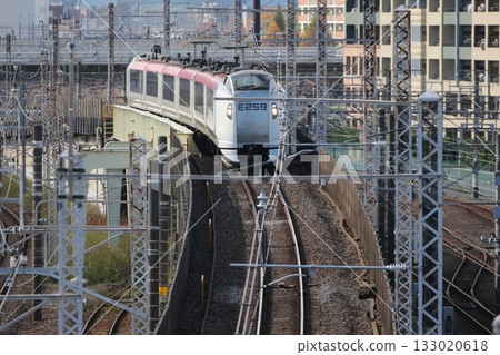 Narita Express Narita Express 133020618