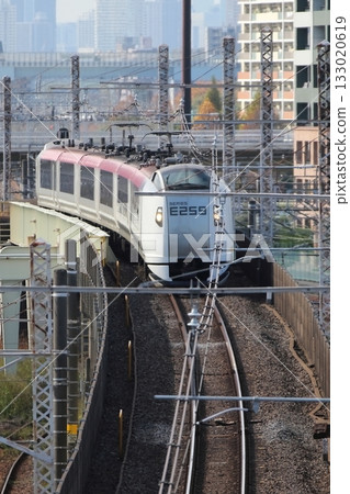 Narita Express 133020619