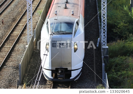 Narita Express 133020645