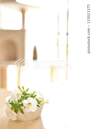 Relaxing balcony gardening | White Supertunia flowers and a relaxing space Relaxing balcony gardening | White Supertunia flowers and a relaxing space 133021375