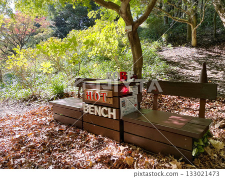 Autumn at Kobe Municipal Arboretum (Kobe City, Hyogo Prefecture) Autumn at Kobe Municipal Arboretum (Kobe City, Hyogo Prefecture) 133021473