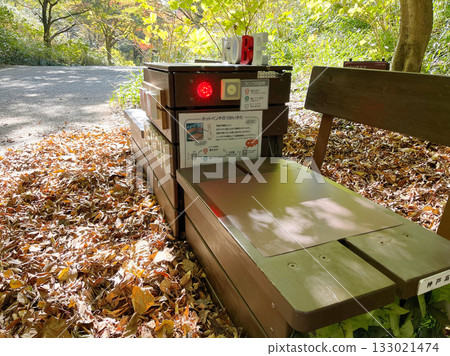 Autumn at Kobe Municipal Arboretum (Kobe City, Hyogo Prefecture) 133021474