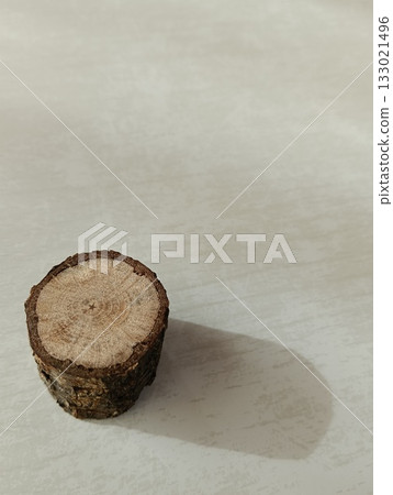 A stump with a star in the middle of the rings 133021496