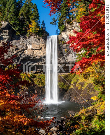 【AI生成影像】秋葉環繞的美麗瀑布。 133021918