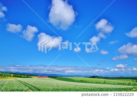 Summer sky and earth 133022220