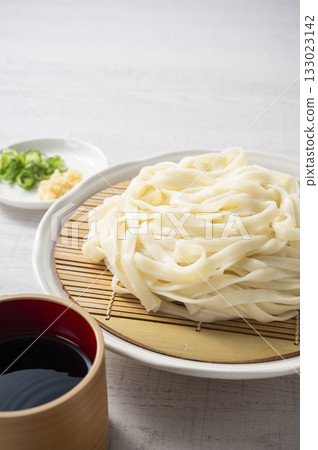 Squirrel Squirrel 133023142