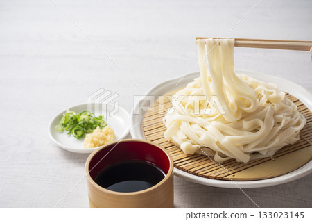 Squirrel Squirrel 133023145