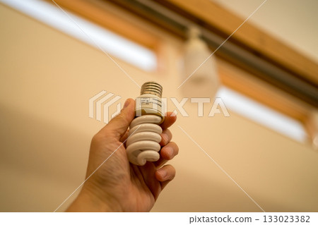 燈泡 球莖 手 133023382