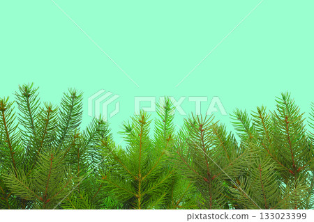 Pine branches provide a vibrant green setting for holiday cheer 133023399