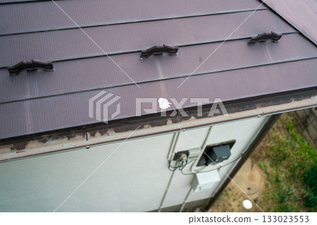 roof, roofs, excrement 133023553