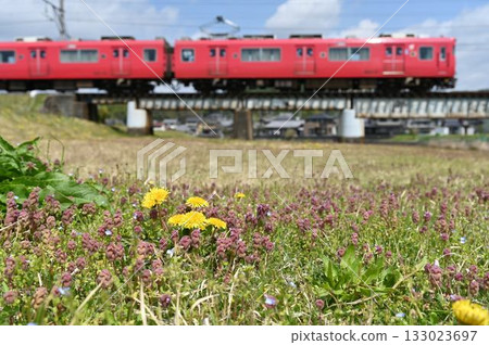 名鐵廣美線蒲公英和6000系列 名鐵廣美線蒲公英和6000系列 133023697