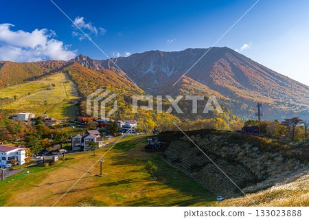Mountains of autumnal leaves 133023888